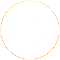 Alternative Investments